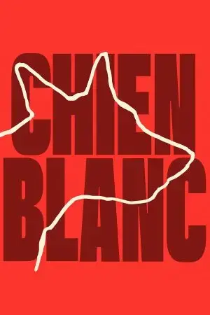 Bạch Khuyển Bạch Khuyển